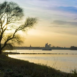 Abendstimmung an der Rodenkirchener Riviera