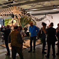 Ausstellungsdesign4-apriori-design