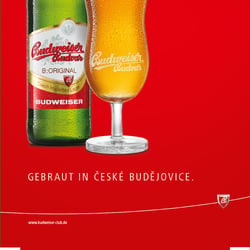 Kastenstecker Premium Lager