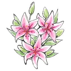Lilien