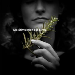 kraeuter