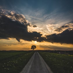 einsamer Baum, Bommerweiher Thurgau