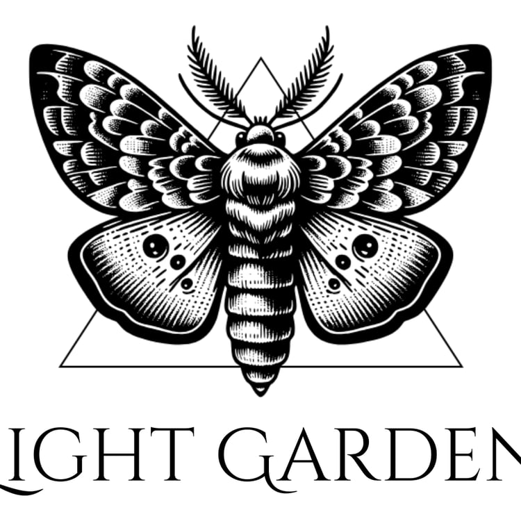 Julia Müller