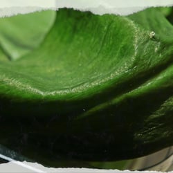 FOOD IDEAS JUN. 2017