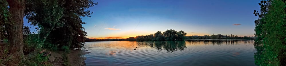 Morgendämmerung im Naturschutzgebiet Altrhein in Wyhlen