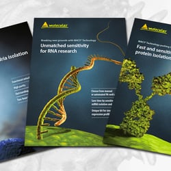 Print: diverse Flyer eines Biotechunternehmens