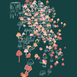 Forest Mushroom Magic