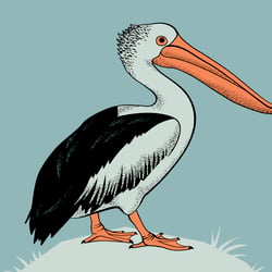 Pelikan
