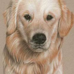 Pastell, Zeichnung by Nicole Zeug, nicolezeug.de