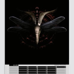Gestaltung des Planfisch-Kalenders 2012