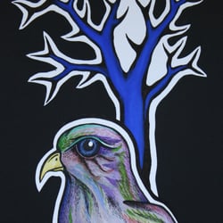 Vögel