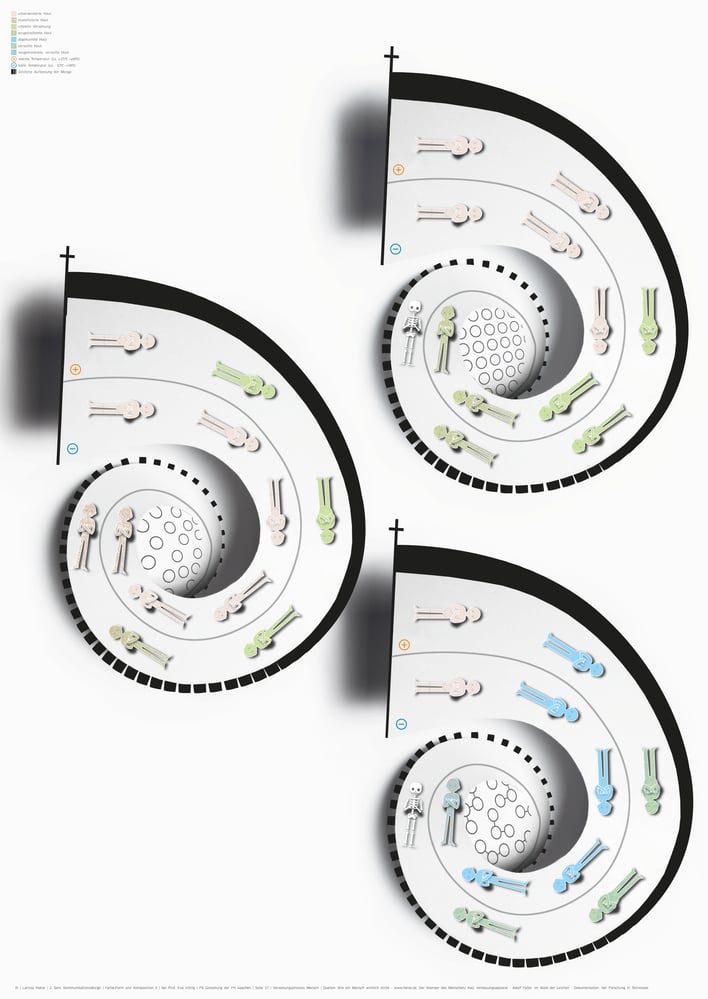 Infografik Verwesungsprozess Mensch
