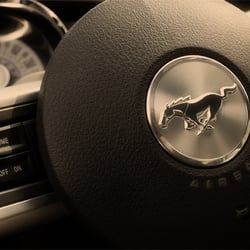 Mustang