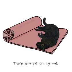 There is a Cat on My Mat