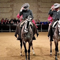 Spanische Reitschule, Cordoba