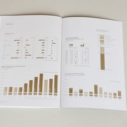 Geschäftsberichte – Chemische Industrie Österreich – 2011/12