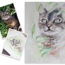 Portraitart°Katzenblick°