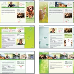 Vorschläge für die Internetpräsenz „Tierheilpraxis“