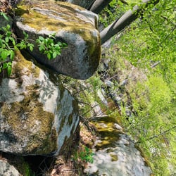 Ilsenburg / 2022