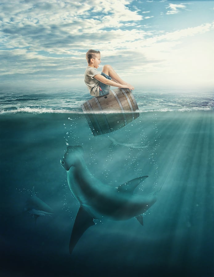 Shark attack
