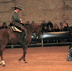 Flamenco, Cordoba