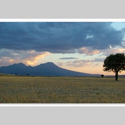 Fotografie-Natur