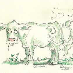 Grün-Kuh