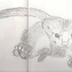 Freie Illustration