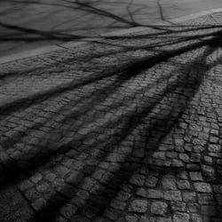 Observation – Fine Art Photo Series
