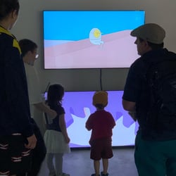 Video Installationen
