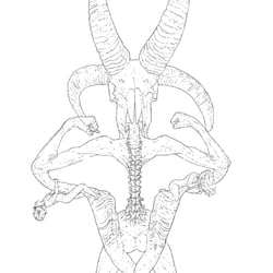 o.T.11