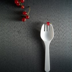 olivier-meriel-cranberries
