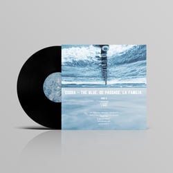Vinyl back 2