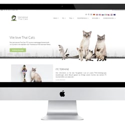 thaicats