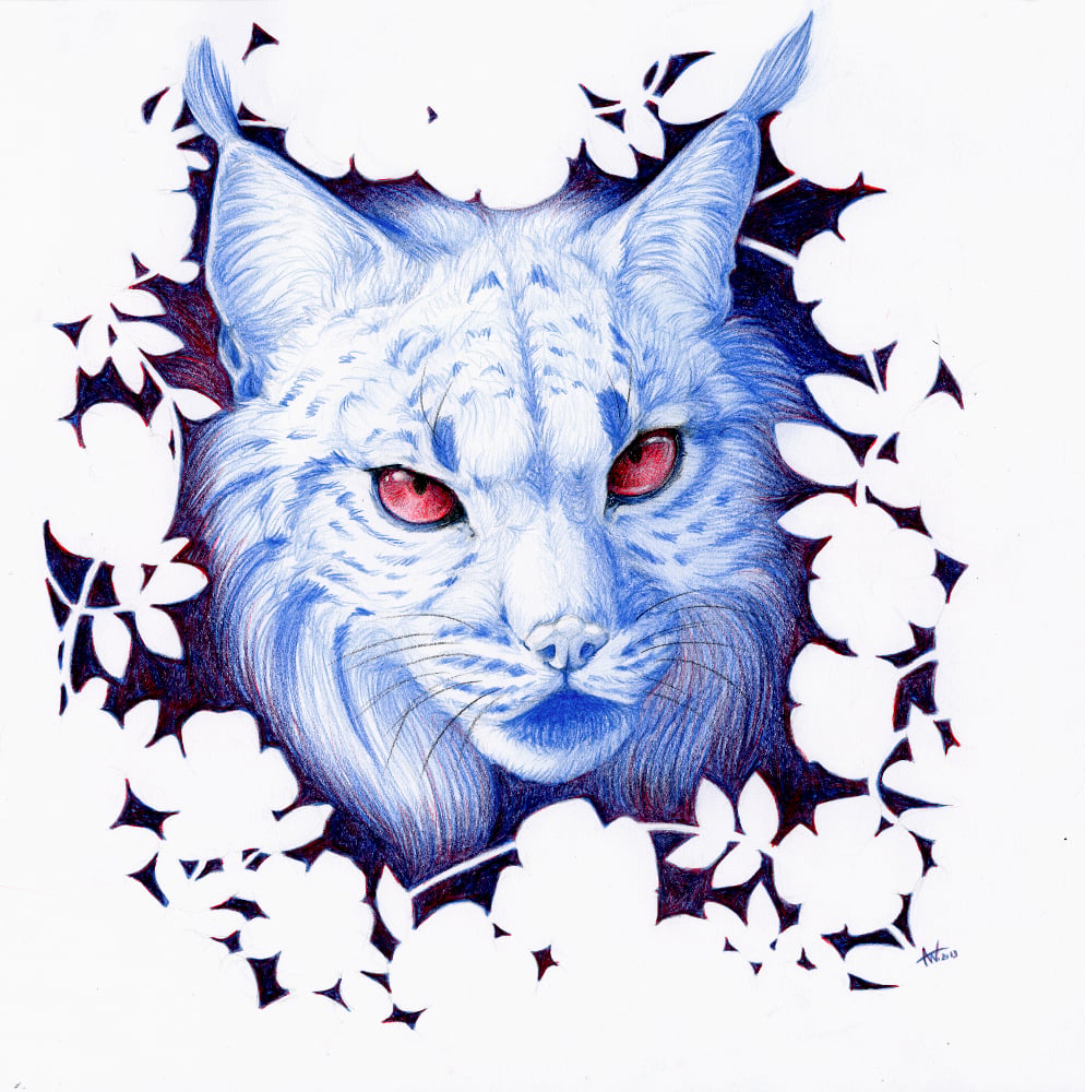 Eurasischer Luchs