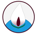 Arvigor Trading & Co. GmbH