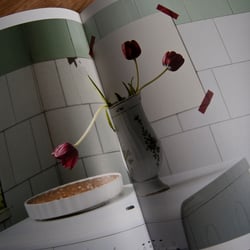 Vollformatige Bilder