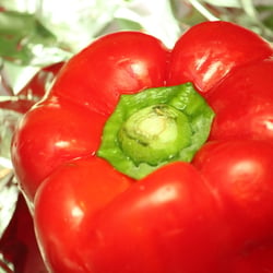 Food Photography 2012 Rezepte Paprika 01