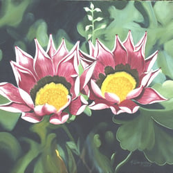 Mittagsblumen, Öl a. Lw., 50×60 cm, 2005
