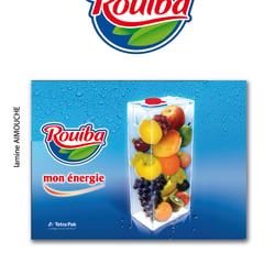 PORTFOLIO 2008-2009