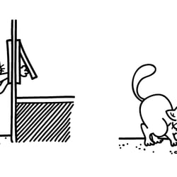 Aerger mit der Katzenklappe -2