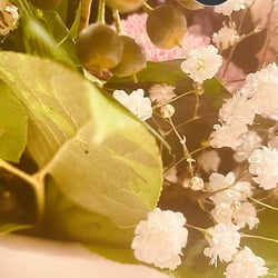 Flower Power / 2022