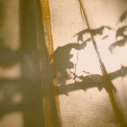 Musikvideo Screenshot 42