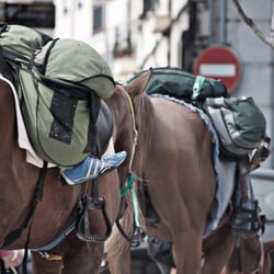 El Camino de Santiago
