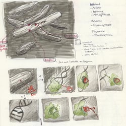 Skizze Storyboard