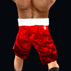 3D Model von Kubrat Pulev (Boxer)