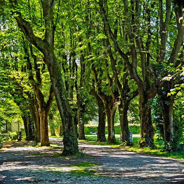 Promenade