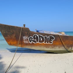 Radhe and the indian ocean