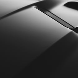 Muscle