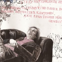 Oli Schulz